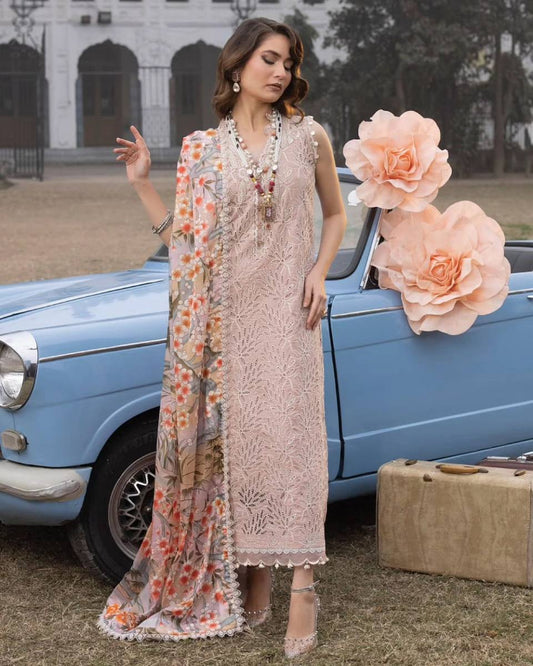 Ittehad Tpink Shifli Chikankari Embroidery Dress 3pc