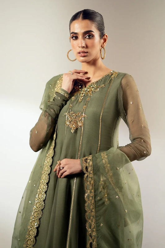 Baroque Embroided Chiffon PR-897