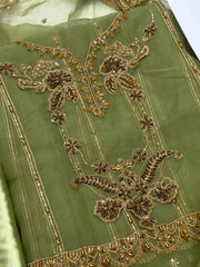 Baroque Embroided Chiffon PR-897