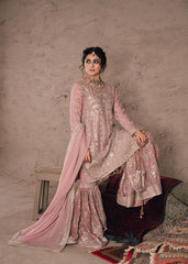 Sara Khan | Haseen’s Peach Formal Collection Chiffon Gharara Replica