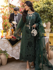 Bin ilyas | Dark Green - Chickenkari Collection
