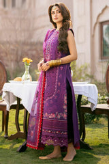 Bin Ilyas | Purple - Cotton Chikankari Collection