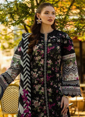 Elaf EL-05-BELLEZE-25 | Black - Lawn Chiffon Dupatta Collection