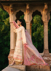 Bin Ilyas | Skin - Cotton Chikankari Collection