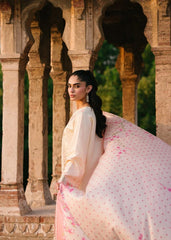 Bin Ilyas | Skin - Cotton Chikankari Collection