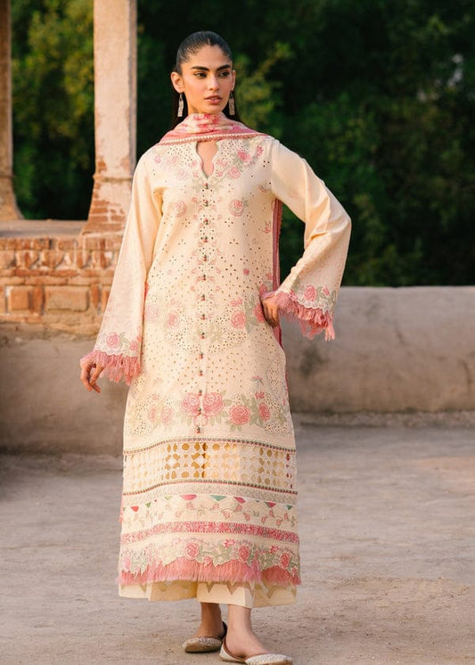Bin Ilyas | Skin - Cotton Chikankari Collection