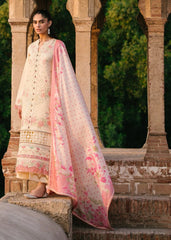 Bin Ilyas | Skin - Cotton Chikankari Collection