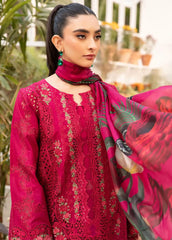 Elaf | Shocking Pink - Chikankari Collection