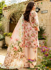 Elaf Premium True Love ELK-04B | Peach - Chikankari Collection