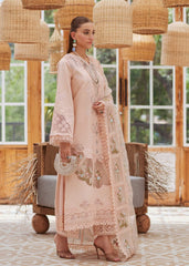 Crimson | Peach - Laser Chikankari Collection