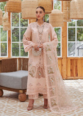 Crimson | Peach - Laser Chikankari Collection