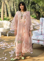 Sardinia | Peach - Cotton Chikankari Collection